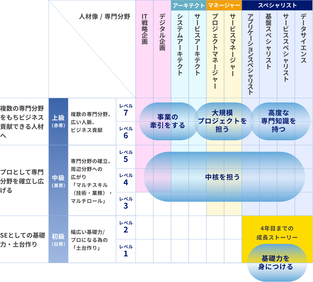 キャリアと経験の見える化（ロールレベル定義）